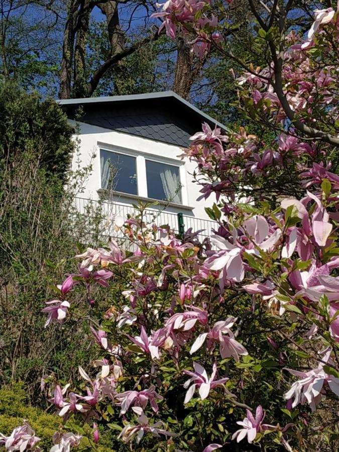 Das Ferienhaus Mit Aussicht Pirna Exteriér fotografie
