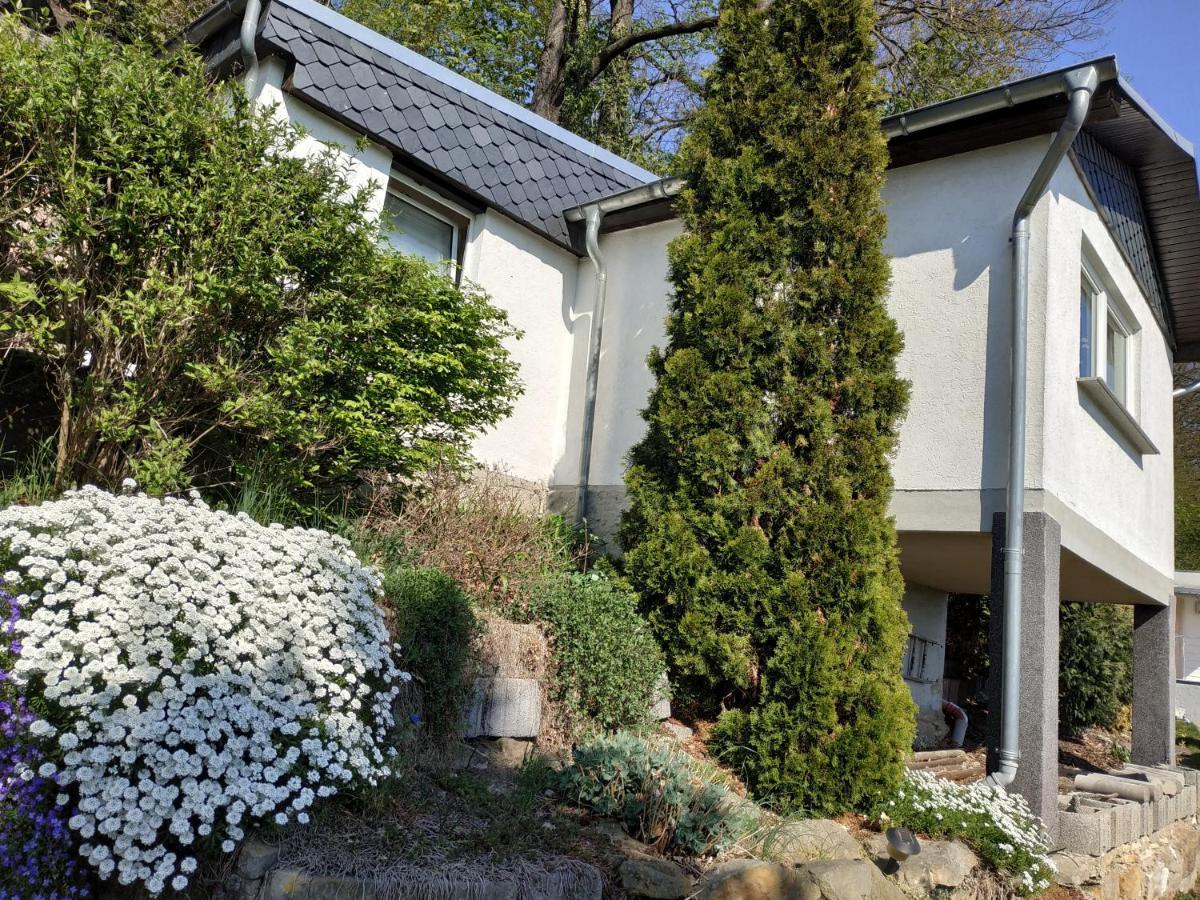 Das Ferienhaus Mit Aussicht Pirna Exteriér fotografie