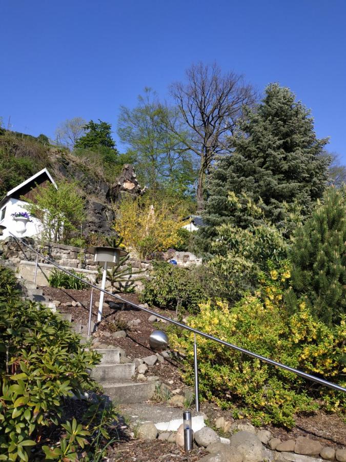 Das Ferienhaus Mit Aussicht Pirna Exteriér fotografie