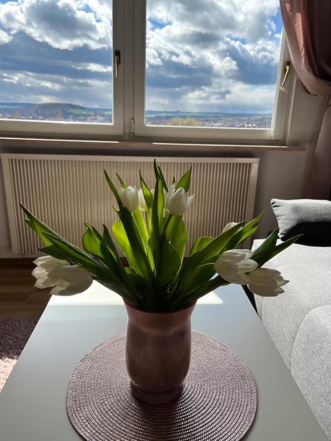 Das Ferienhaus Mit Aussicht Pirna Exteriér fotografie